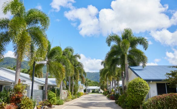 Row of villas and palm trees in our Oak Tree Retirement Village in Cairns.
