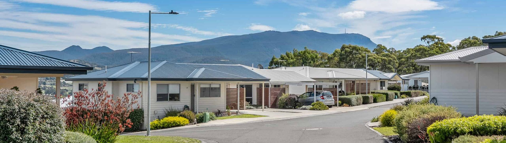 037_Open2view_ID809731-14_Celery_Top_Drive (1)