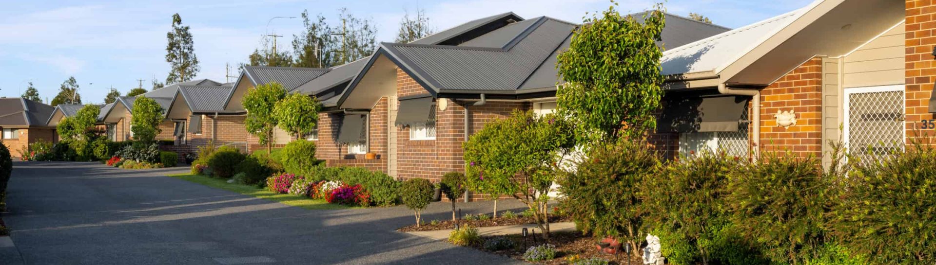 20221127_BCI_OakTreeBoolaroo-4