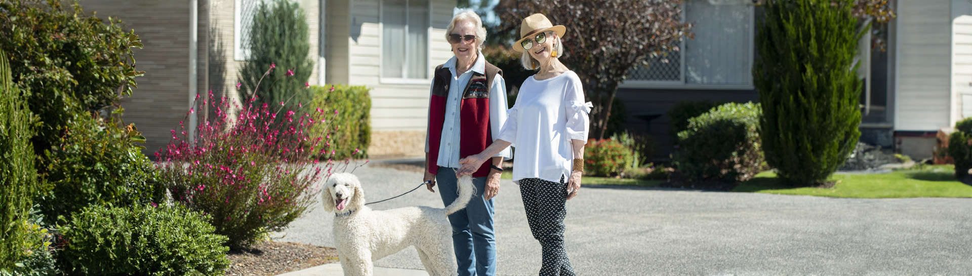 Two senior woman are walking their dog in Oak Tree Bathurst Retirement village