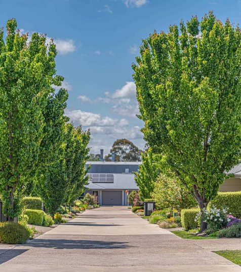 One of the well maintained streets at Oak Tree Martin St, Armidale
