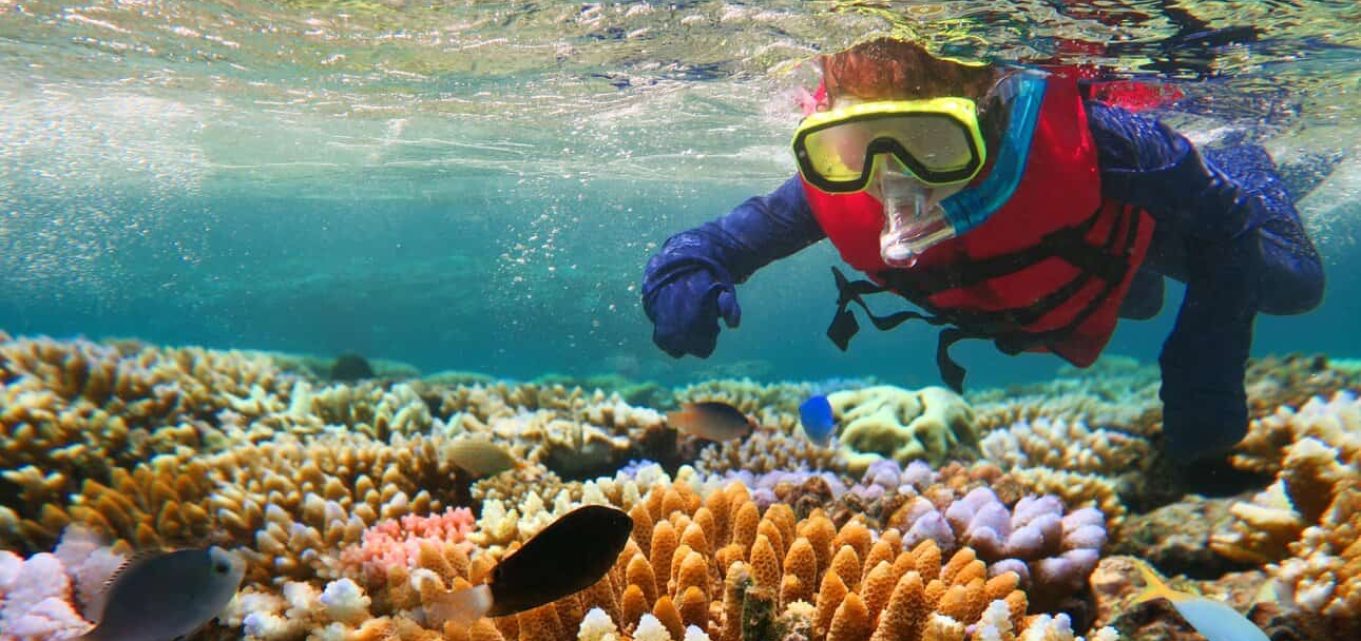 Person snorkelling in Queensland's tropical north
