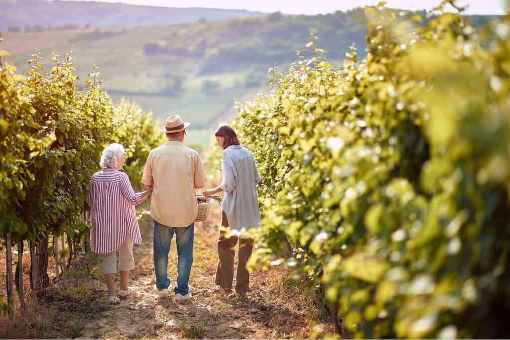Senior couple and a lady enjoying Mudgee Wineries